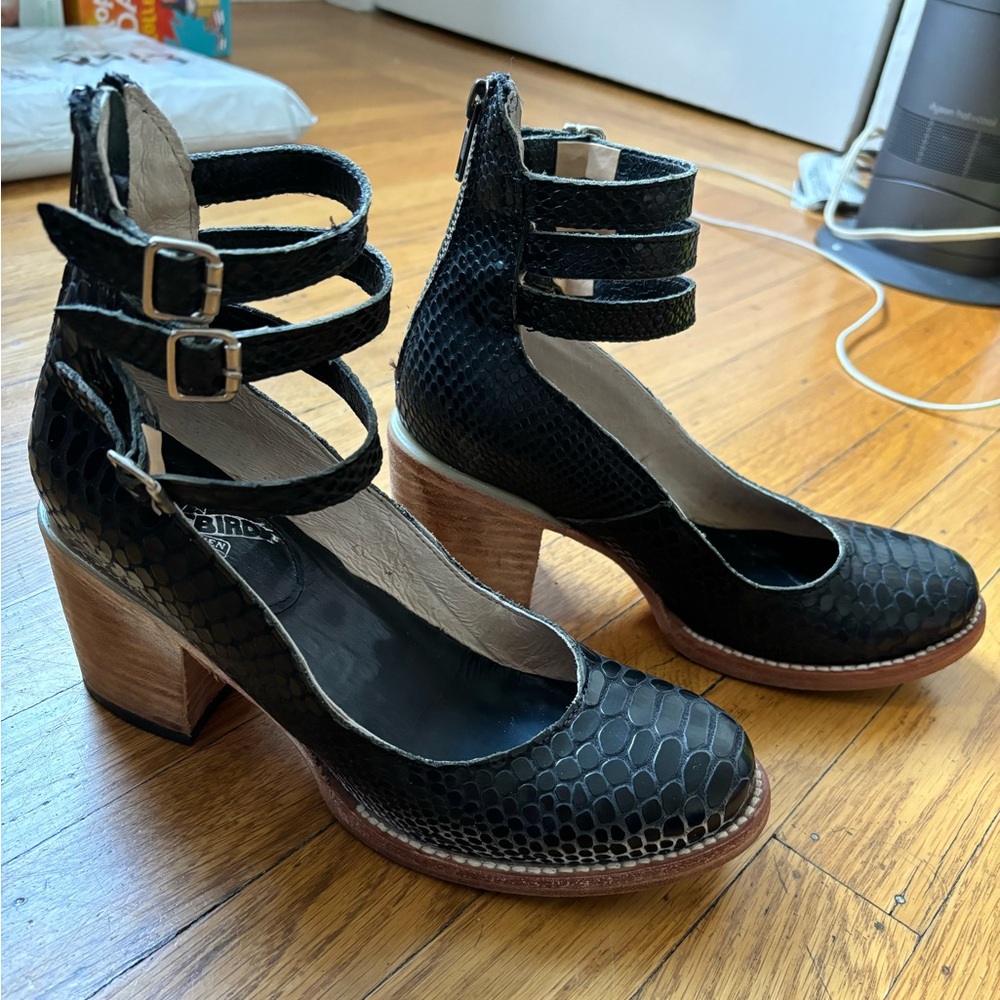 Freebird by Steven Randi in black snake- size 7